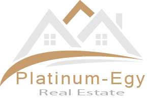 Platinum Logo