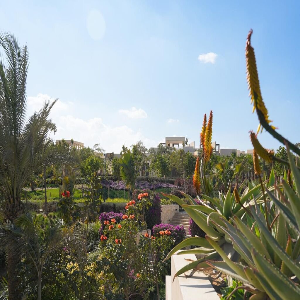 8e36d5bf-2a10-4aca-9f25-22ae2ad3ba68